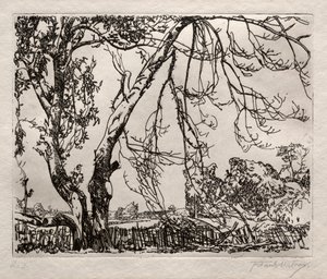 Apfelbaum von Frank Wilcox