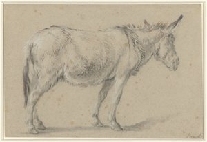 Stehender Esel, nach rechts von François Boucher (possibly)