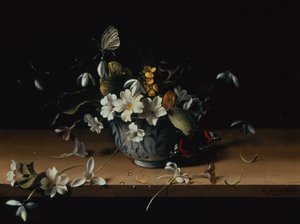 Blumen in einer blau-weißen chinesischen Porzellanschale mit einem Admiral-Schmetterling auf einer Holzleiste von François Habert