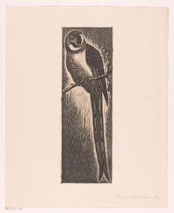 Papagei auf einem Ast (original title on object) von Frans Bosen