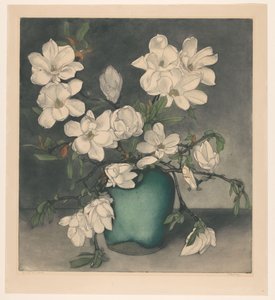 Magnolienzweige