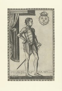 Porträt von König Karl IX. von Frankreich 1550-1574, 1560er Jahre von Frans Huys