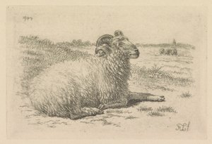 Liegender Widder auf einer Wiese von Frans Lebret