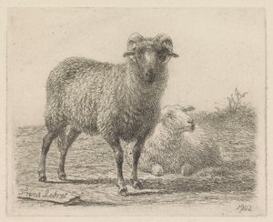 Widder und Schaf