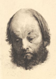 Schwarzbärtiger Mann, Garibaldi von Frans Schwartz