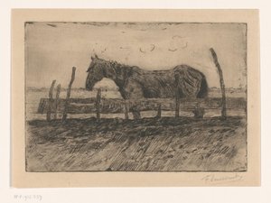 Pferd von Frans Smissaert (signed by artist)