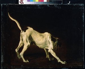 Hund von Frans Snyders or Snijders