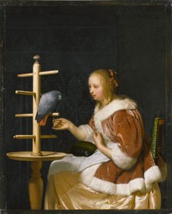 Junge Frau füttert einen Papagei, 1663