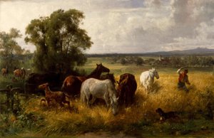 F.Adam, Jenseits der Koppel