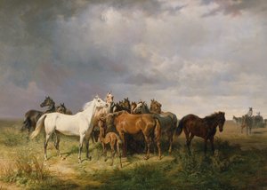 Pferde auf der Puszta