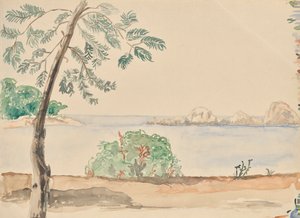 Küste in Florida (?) von Franz Barwig d. Ä.