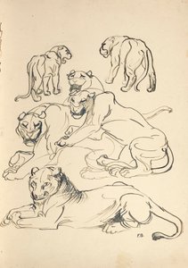 Sechs Pumas von Franz Barwig d. Ä.