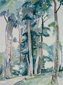Waldpartie