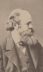 Porträt des Komponisten Robert von Hornstein 1833-1890