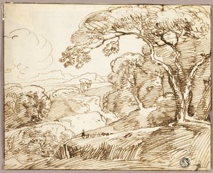 Panorama-Landschaft