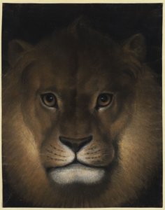Löwenkopf von Franz Krüger