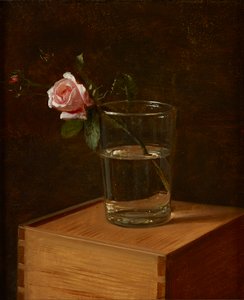 Rose im Glas
