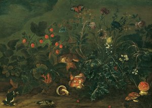 Rasenstück mit Erdbeeren und Grille von Franz Michael Siegmund von Purgau d. Ä.