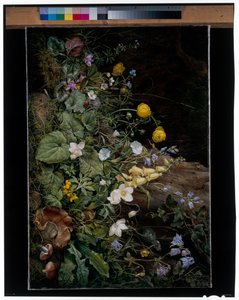 Wildblumen am Fuße eines Baumes von Franz Xavier Petter