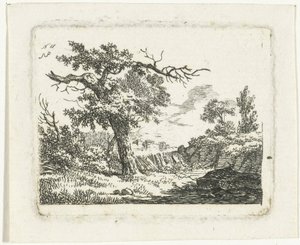 Landschaft mit Baum mit zwei toten Ästen