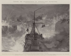Testen der Seetüchtigkeit von Torpedoboot-Zerstörern von Fred T. Jane