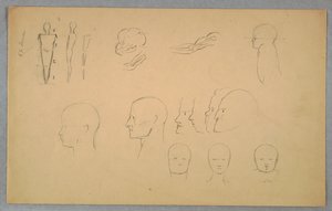 Anatomische Studien