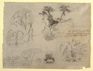 Botanische Studien und ein Haus, wahrscheinlich aus Kolumbien