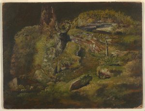 Fels im Wald von Frederic Edwin Church