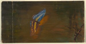 Schmetterling über Wasser