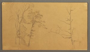 Zeichnung, Eine Gruppe von Bäumen mit dem oberen Teil eines toten Baumes, 1866 von Frederic Edwin Church