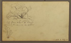 Zeichnung, Eine Hütte auf Pfosten, Guayaquil, Ecuador, Mai 1857 von Frederic Edwin Church
