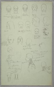 Anatomische Studien, 1865–1870