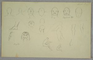 Anatomische Studien, 1865–1870