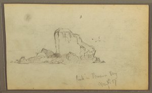 Vögel, "Felsen in der Panama-Bucht"; Rückseite: "Schwere Reben", 15. Mai 1857