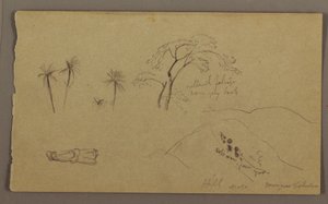 Botanische Skizzen, Figur, Mai–August 1865