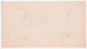 Zeichnung, Botanische Skizzen: Baum, Bäume am Ufer, September 1876