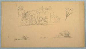 Zeichnung, Botanische Skizzen: Baum, Bäume am Ufer, September 1876 von Frederic Edwin Church