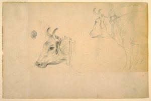 Zeichnung, Vieh, September 1844