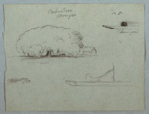 Zeichnung, Ceiba-Baum in Mompos, Champan-Kanu, Bäume und ein Teil eines Bootes, Rio Magdalena, Kolumbien, 1853, wahrscheinlich Mai