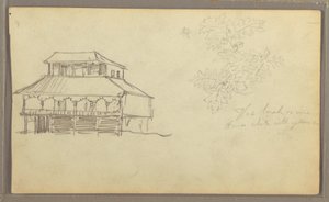 Haus, Botanische Skizze, Ecuador oder Kolumbien von Frederic Edwin Church