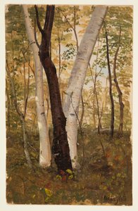 Zeichnung, In den Wäldern, Hudson, New York, Oktober 1865 von Frederic Edwin Church