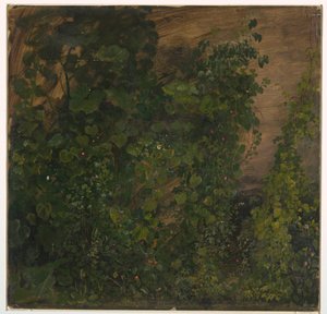 Zeichnung, Dschungelvegetation, 1865 von Frederic Edwin Church