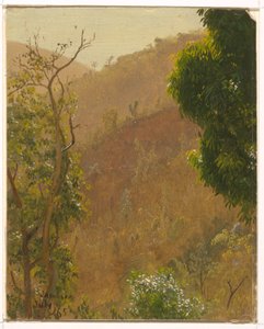 Zeichnung, Landschaft, Juli 1865 von Frederic Edwin Church