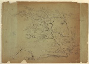 Landschaft mit Bäumen und einem Bach [?], Grand Manan Island, Kanada, September 1851