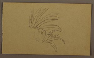 Lilienpflanze, 1865