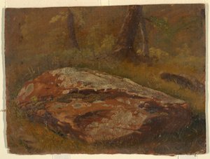 Moosiger Felsen von Frederic Edwin Church