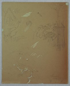 Zeichnung, Naturstudien, Blue Mountains, Jamaika, Juli 1865