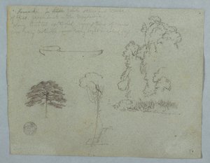 Zeichnung, Naturstudien vom Rio Magdalena, Kolumbien: Bäume, Lianen und ein Kanu, Mai 1853