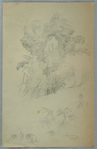 Studien von Bäumen und Ästen, Jamaika, August 1865 von Frederic Edwin Church