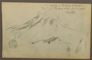 Sonnenaufgang auf dem Mt. Chimborazo und drei Details von Gras von Frederic Edwin Church